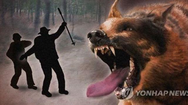 ‘주민 숨졌는데…아니올시다’ 남양주 개물림 사망사건 개농장주, 재판서 혐의 부인