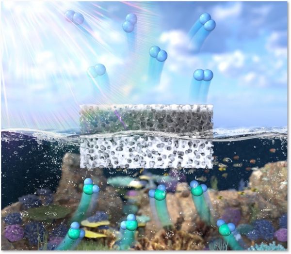연구진이 개발한 부유식 광촉매 플랫폼의 구조. 출처 : IBS