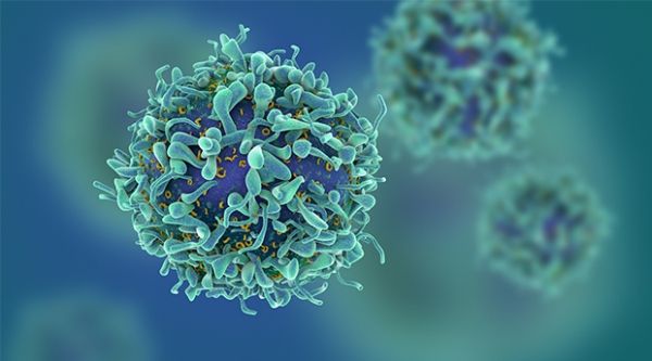 암세포. 출처: The truth about cancer
