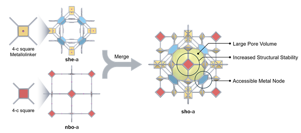 금속화 리간드를 사용한 병합망 금속-유기 골격체 구조의 조립.she 망 내에 nbo 망을 형성하여 sho 망을 형성하는 과정을 도식적으로 나타냄.출처: UNIST