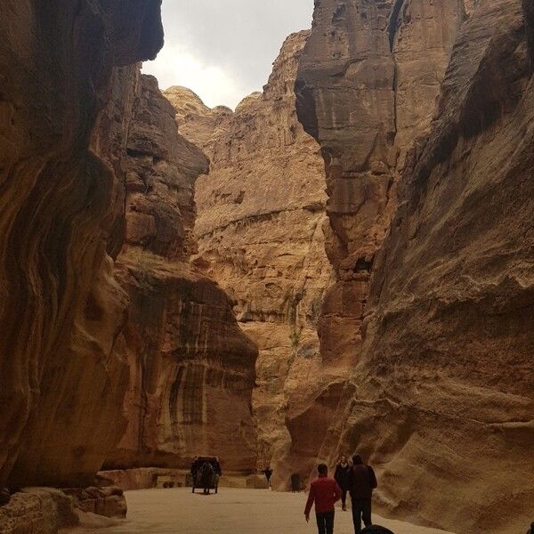 페트라 알 카즈네로 향하는 길 / 요르단=이수현 기자