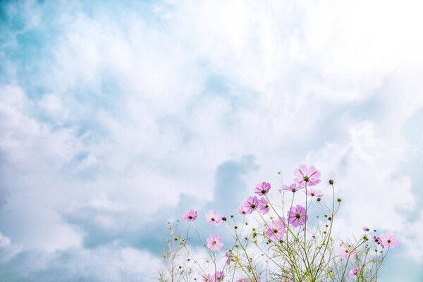 맑은 가을 하늘. /이미지투데이