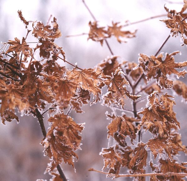 오늘(22일) 아침최저 기온이 0도까지 떨어지는 등 초겨울 날씨를 보이겠다.&nbsp;