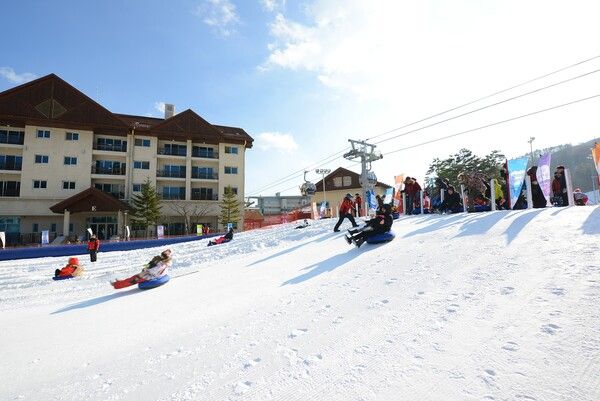 하이원리조트 눈썰매장 전경. /하이원리조트 제공