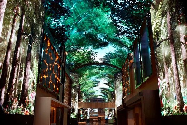 인스파이어 디지털 엔터테인먼트 거리 ‘오로라’. /모히건 인스파이어 제공