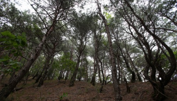 기사와 직접적 관련이 없는 이미지. /연합뉴스