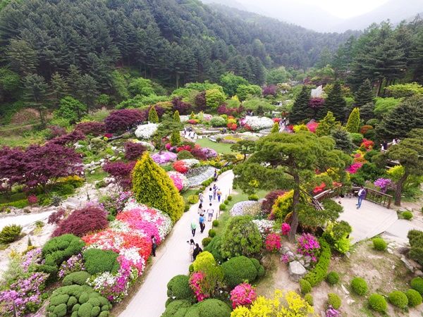 아침고요수목원 메인정원 전경 / 아침고요수목권 제공