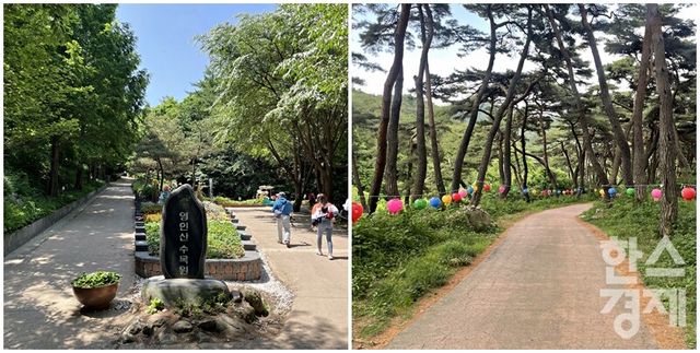 영인산자연휴양림(왼쪽)과 봉곡사 천년의 숲길. /강상헌 기자