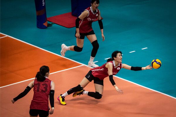 여자배구 대표팀 선수들. /FIVB