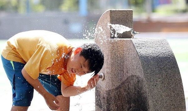 한 초등학생이 무더위에 수돗물로 머리를 식히고 있다. /연합뉴스 제공