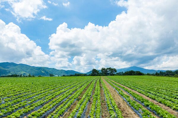 날씨. /이미지투데이