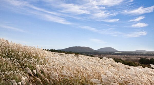 가을 날씨. /이미지투데이