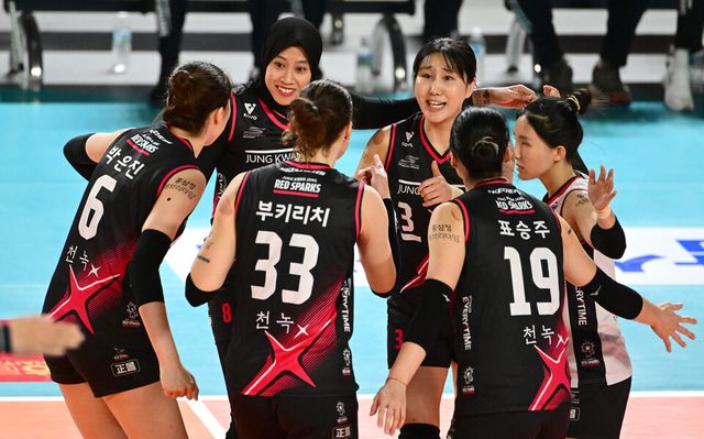 대전 정관장 레드스파크스. /한국배구연맹 제공