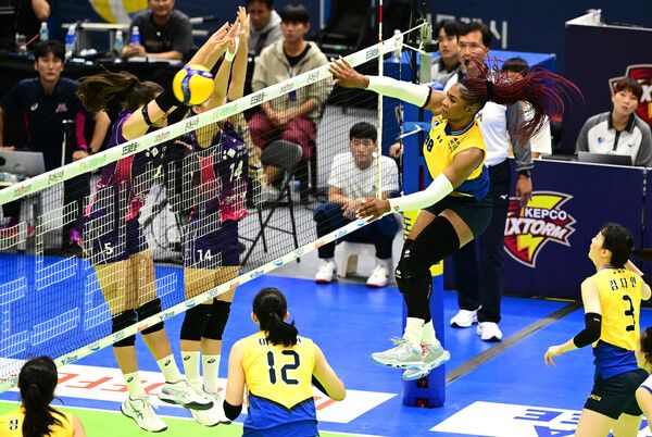 프로배구 V리그 여자부 현대건설 모마(오른쪽). /KOVO 제공