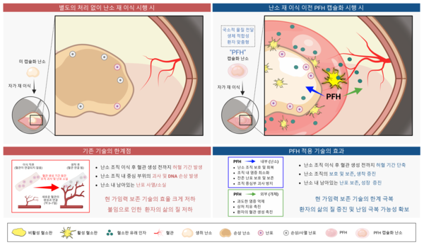 난소 조직을 이용한 현 가임력 보존 기술의 한계점과 연구진의 기술 개발에 대한 모식도./분당서울대병원 제공