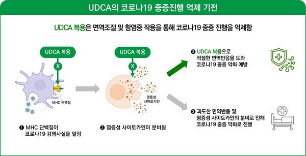 UDCA의 COVID19 중증진행 억제 기전도./대웅제약 제공