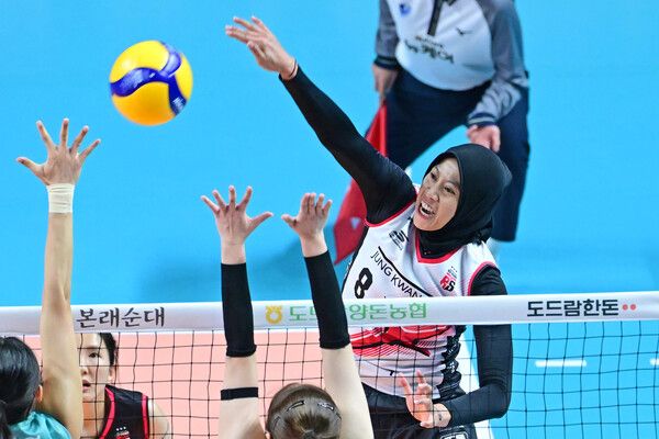 프로배구 V리그 여자부 정관장 메가. /KOVO 제공