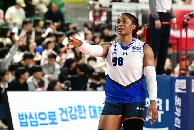 현대건설 모마. /KOVO 제공