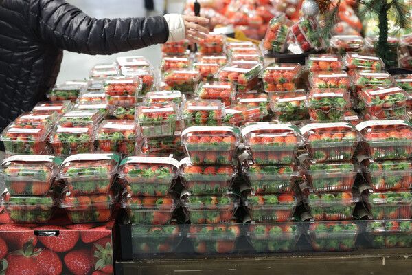 서울 한 대형마트에 딸기가 진열돼 있다./연합뉴스.