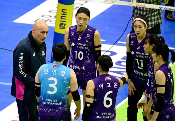 프로배구 V리그 여자부 흥국생명. /KOVO 제공