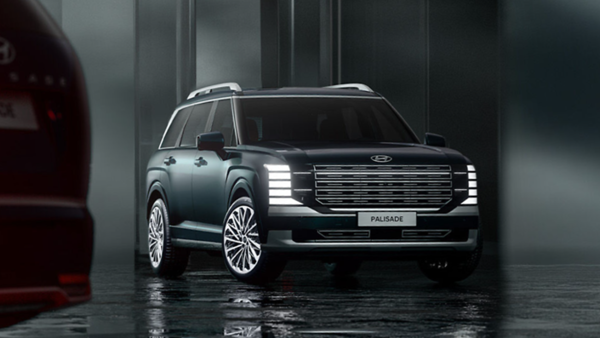 디 올 뉴 팰리세이드/ 카랩