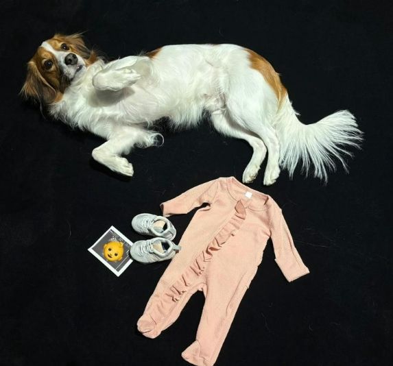 오타니 쇼헤이가 29일 SNS 계정을 통해 아내 다나카 마미코의 임신 소식을 알렸다.&nbsp;/오타니 쇼헤이 인스타그램