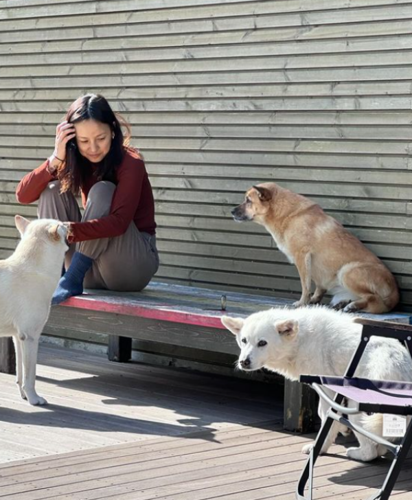 이효리 인스타그램