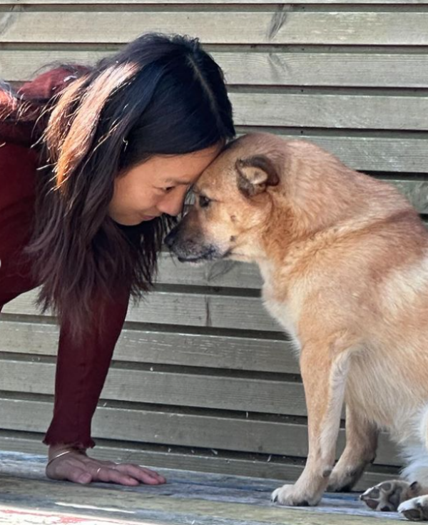 이효리 인스타그램