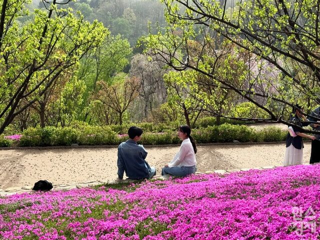 에버랜드 하늘정원길. /강상헌 기자