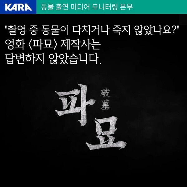 동물보호단체 ‘카라’