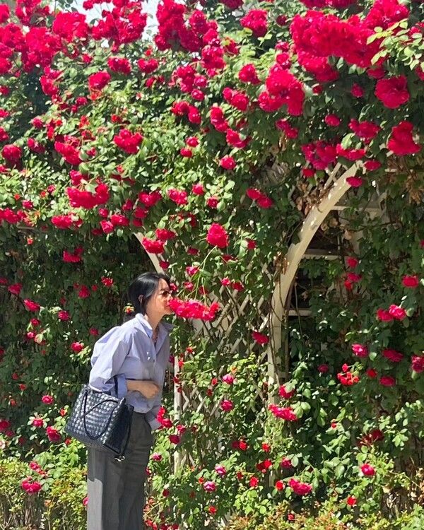 이영애 인스타그램