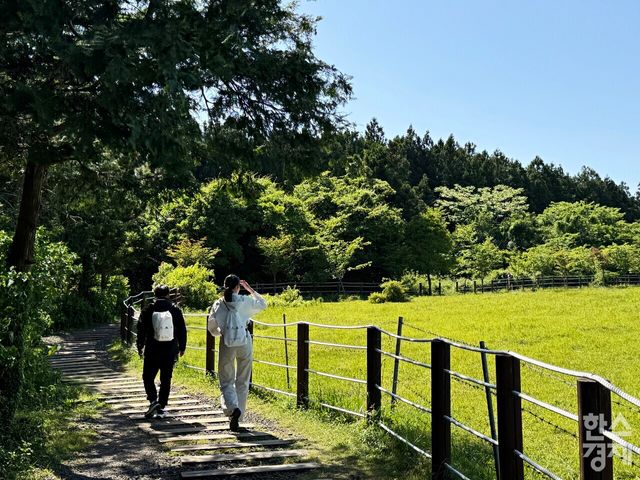 해비치 리조트 제주 웰니스 프로그램 중 '포레스트 트레킹'. 물영아리 오름 모습. /강상헌 기자