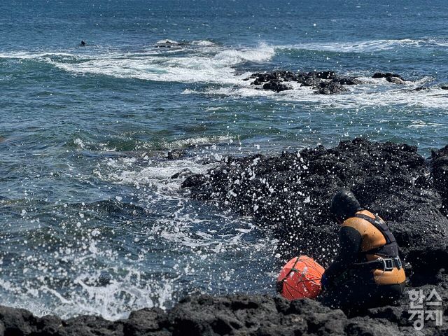 해비치 리조트 제주 근처 표선 해변에서 만난 해녀 조은별 씨. /강상헌 기자
