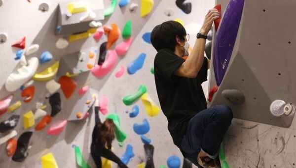 서울 종로구 CGV피카디리1958 영화 상영관을 리뉴얼해 바꾼 스포츠 클라이밍짐 피커스에서 이용객들이 실내 클라이밍을 즐기고 있다. /연합뉴스