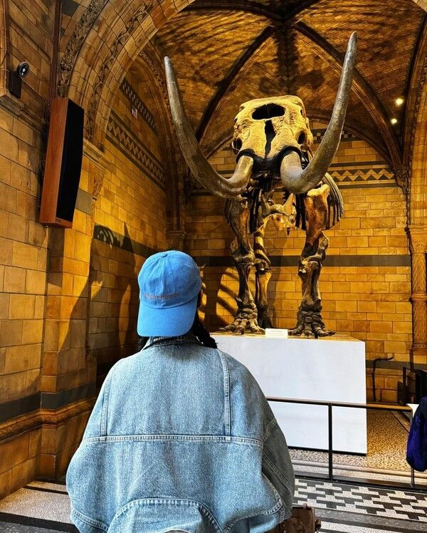 설현 인스타그램