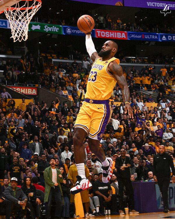 LA레이커스의 르브론 제임스. /구단 페이스북