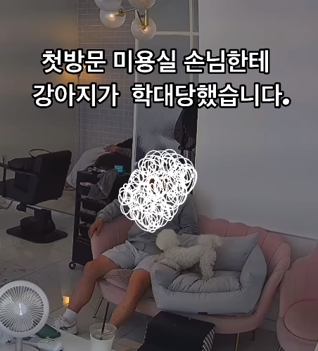 A씨 인스타그램