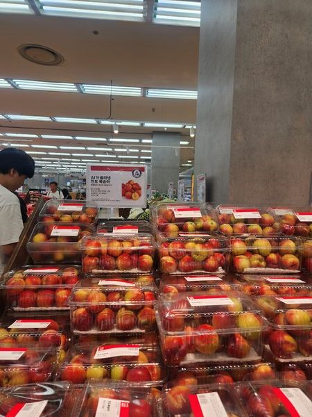 롯데마트 안산점 1층 / 사진=이수민 기자&nbsp;