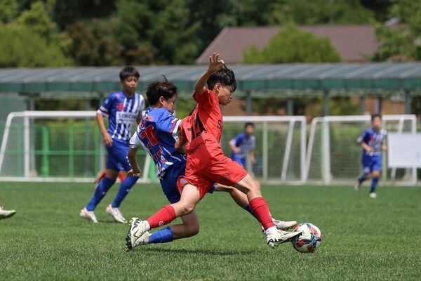 2024 청춘양구 중학교 1학년 축구 페스티벌 제공