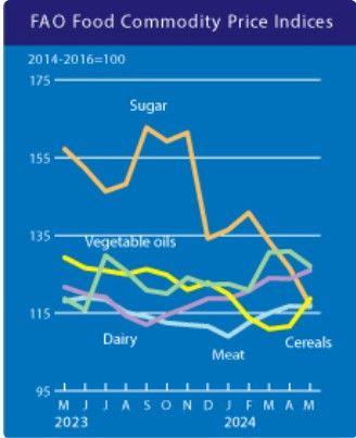 유엔 식량농업기구(FAO)가 발표한 5월 세계식량가격지수에 따르면 국제 곡물과 유제품 가격이 오르고, 설탕과 유지류 가격이 하락했다. / 유엔 식량농업기구 5월 세계식량가격지수 보고서 갈무리