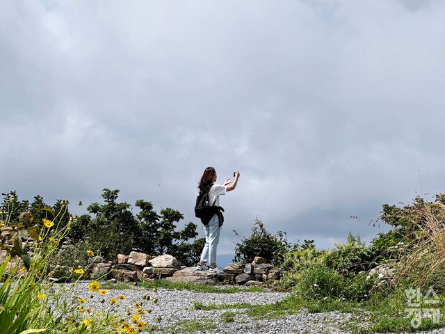 강원랜드 하이원 운탄고도 케이블카를 타고 올라간 뒤 보이는 백운산 전경을 사진으로 담고 있는 모습. /강상헌 기자