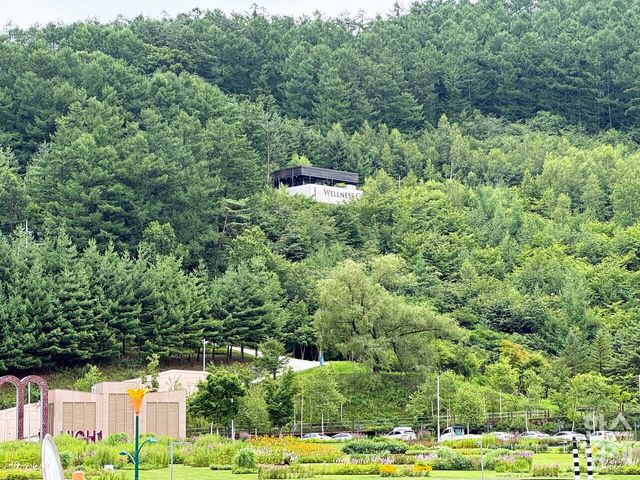 자연 속에 있는 강원랜드 하이원 웰니스센터. /강상헌 기자