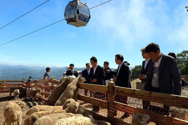 하이원 구름아래 동물농장을 둘러보는 최철규 강원랜드 대표이사직무대행. /강원랜드 제공