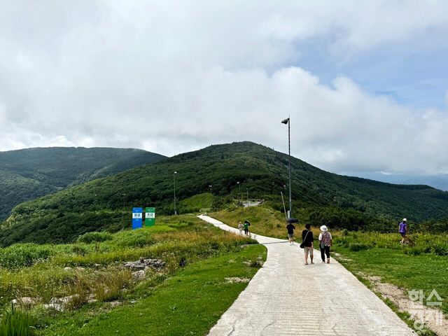강원랜드 하이원 운탄고도 케이블카를 타고 올라간 뒤 트래킹을 할 수 있는 길. /강상헌 기자