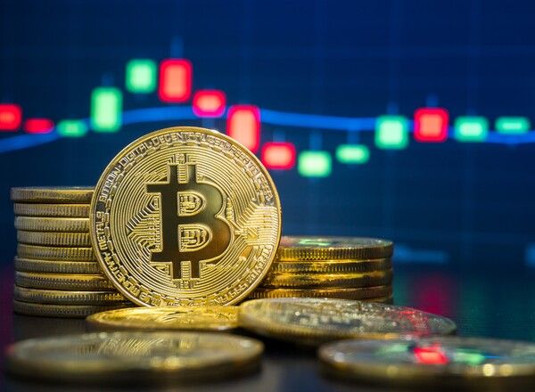 올해 가장 쏠쏠한 수익을 안긴 재테크 수단은 비트코인과 금인 것으로 나타났다. 반면 국내 주식은 '마이너스' 수익률로 실망감을 안겼다. / 사진=연합뉴스