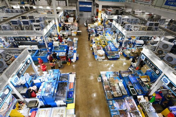 수원시 농수산물도매시장 수산동 전경./수원특례시 제공