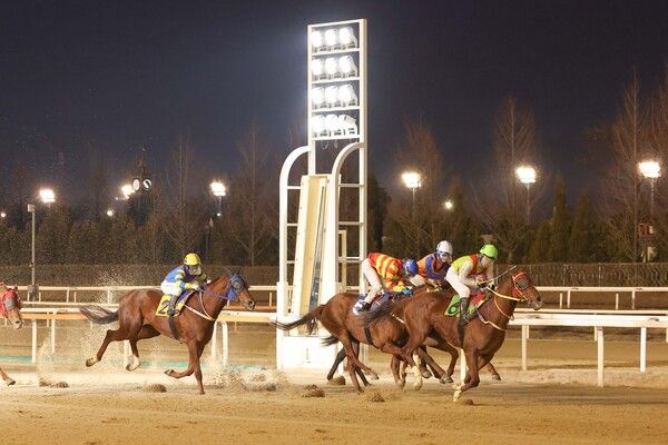 2025년 1월 12일 첫 1등급 경주 우승한 '빈체로카발로'와 조재로 기수. /한국마사회 제공