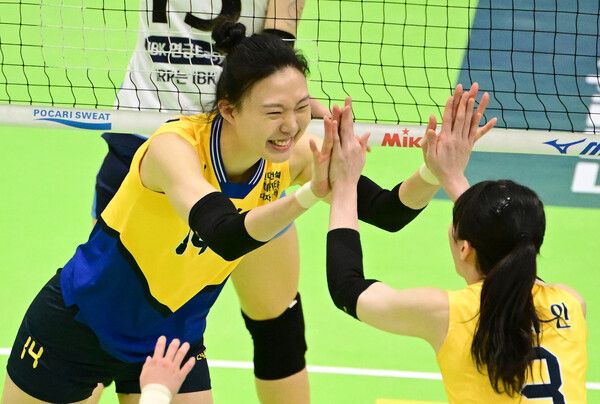 프로배구 V리그 여자부 현대건설 양효진. /KOVO 제공