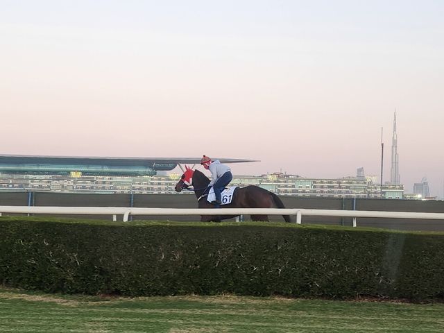 김혜선 기수와 함께 현지훈련 중인 글로벌히트. /한국마사회 제공