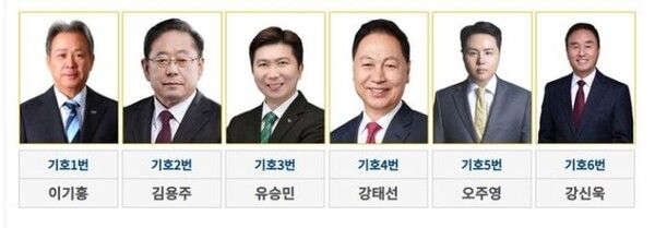 대한체육회장 후보 6명. /대한체육회장 선거 홈페이지 캡처